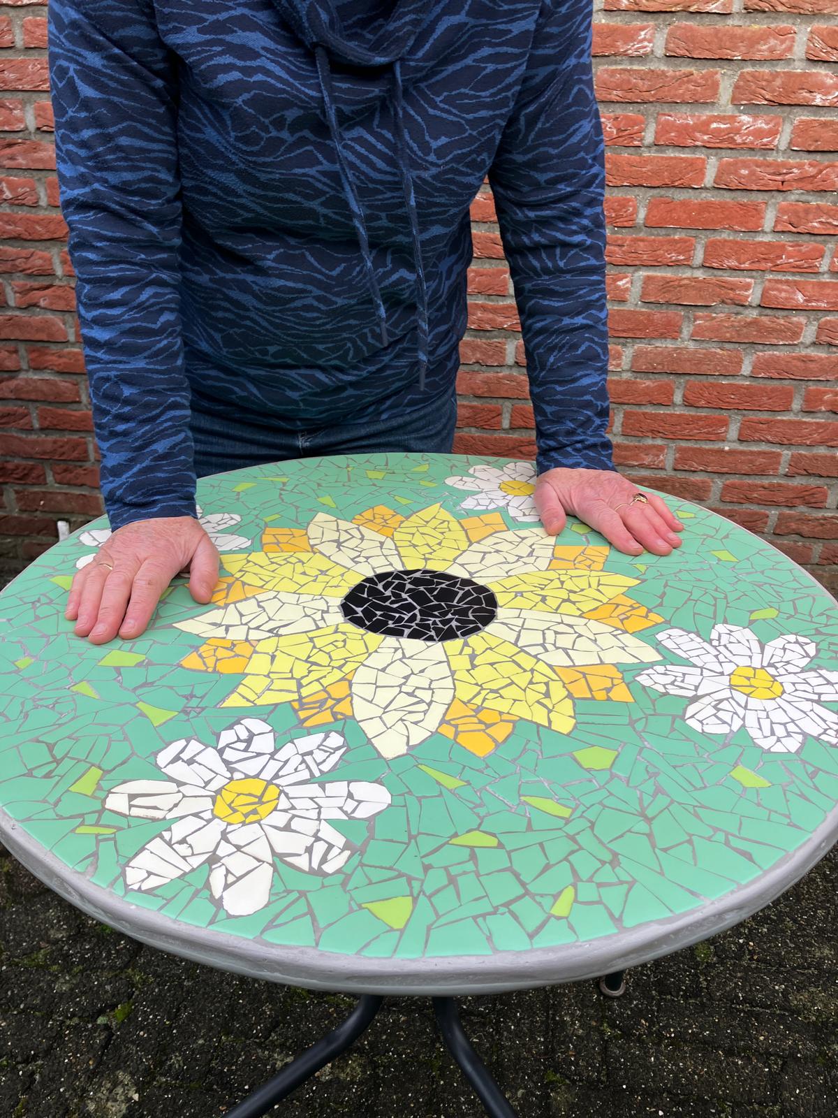 Foto 66 bij artikel "Daar is die dan, het project: De Mozaiektafel!".